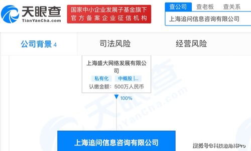 盛大网络再落子 成立上海追问信息咨询公司，注册资本500万元深耕信息咨询服务