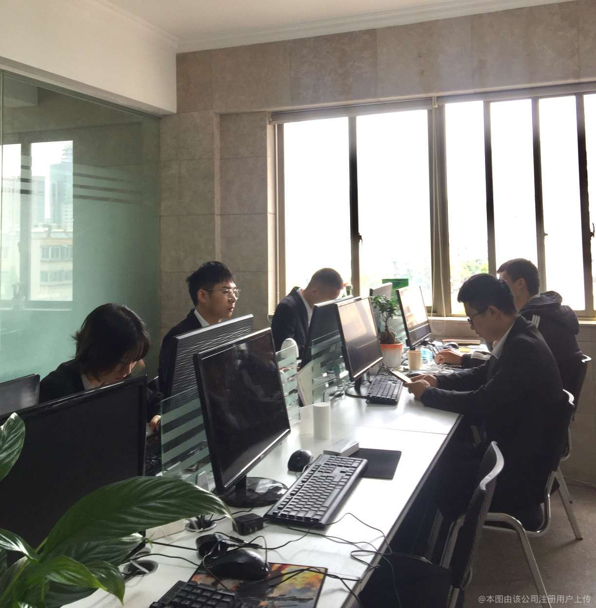 云南迪森信息咨询服务 专业引领，智慧同行